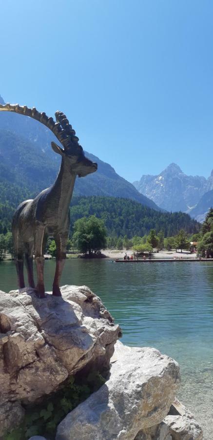 Ferienwohnung Nigritella Kranjska Gora Exterior foto